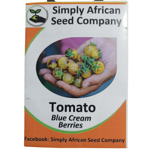 Tomato Blue Cream Berry